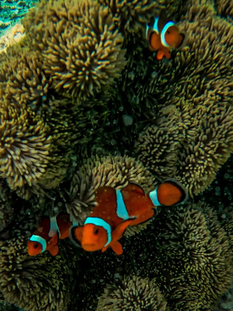 6758b101 8ae3 486b ba6e 81f9bbf1b5b9