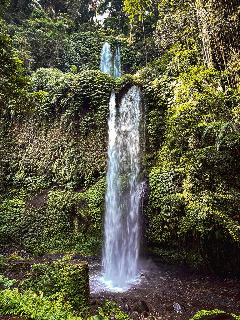 de38e1f8 c3b4 4540 a0b5 7020816d336e